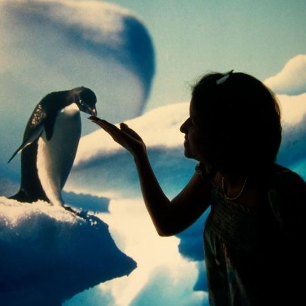 Meet your Posher, Francisca